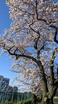 きれいな空